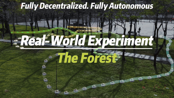 C²-Explorer Demonstration